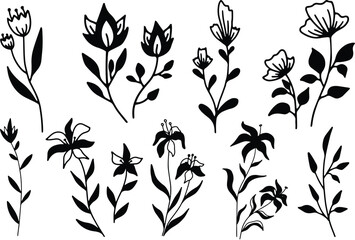Floral leaf's and elements isolated vector Silhouettes 