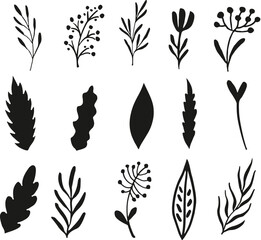 Floral leaf's and elements isolated vector Silhouettes 