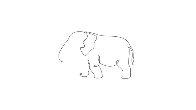 Animated self drawing of one continuous line draw giant African elephant. Wild animal national park conservation. Safari zoo concept. Full length single line animation illustration.