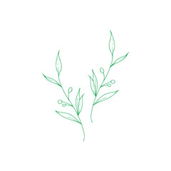 vector illustration of a green leaf