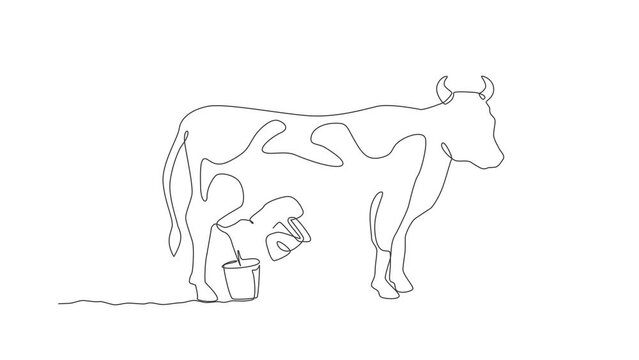 Animation of one line drawing of astronaut squat down milking cow and put into milk can bucket in moon surface. Outer space farming concept. Continuous line self draw animated. Full length motion.