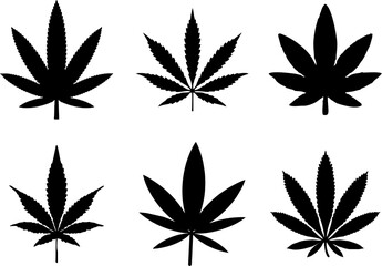 Set of Marijuana Leaf Icons on white background. Cannabis used as  defense against herbivory and as juice, medicinal purposes, and as a recreational purpose.