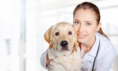 Fototapeta na wymiar medicine concept, veterinarian doctor and dog in vet clinic