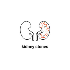 Fototapeta premium Human organ symbol, kidney stones problem. Modern vector line icons of urology. Linear medical pictogram for clinic, hospital. 