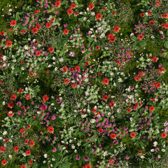 Obraz premium 3D rendering of ground cover filled with flowers and grass, spring vibes and summer, perfect for texture, background and wallpaper