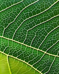 Green leaf macro, Generative AI