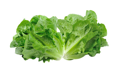 carrot isolated on transparent png