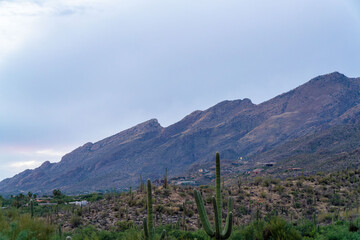 Comanding mountains with cliff precipe and rolling saguaro cactus fields in early morning sunrise...