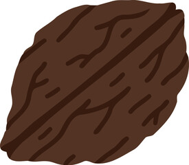 Walnut Fruit Flat Illustration