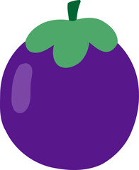 Mangosteen Fruit Flat Illustration