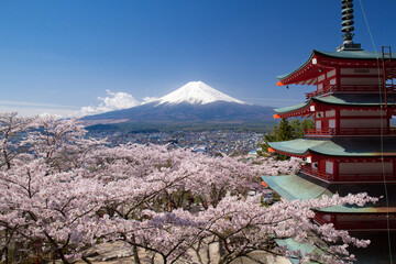 忠霊塔と桜と富士山