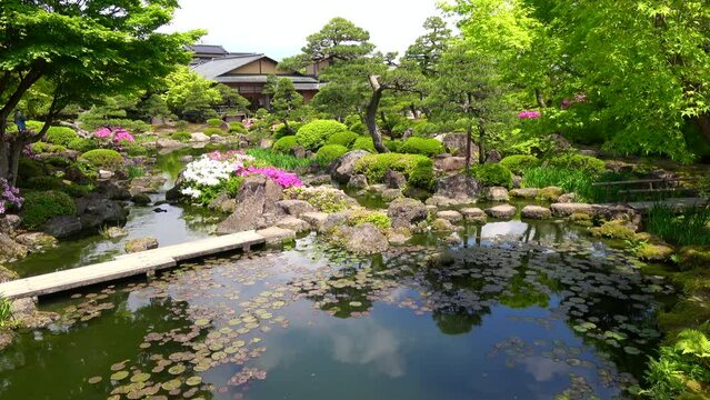 新緑が美しい池のある日本庭園  4K  島根県由志園の春から初夏の風景  2022年5月2日