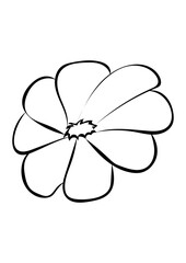 Blüte
