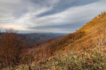 Trees on the mountain on a sunny day. Mountain landscape with beautiful Caucasian nature. Panoramic view of the Caucasus mountains. View of the mountain range under a cloudy sky. 