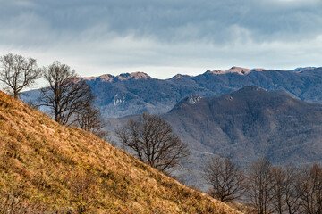Trees on the mountain on a sunny day. View of the mountain range under a cloudy sky. Mountain landscape with beautiful Caucasian nature. Panoramic view of the Caucasus mountains.
