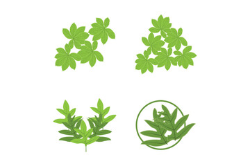 Fototapeta premium Leaf Lines logo design, Background Icons Artwork Artwork Colors pAstel