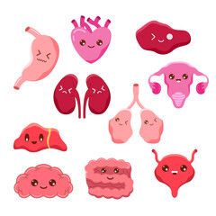 Cute emoji face internal human organ anatomy for medical science educational purpose illustration element