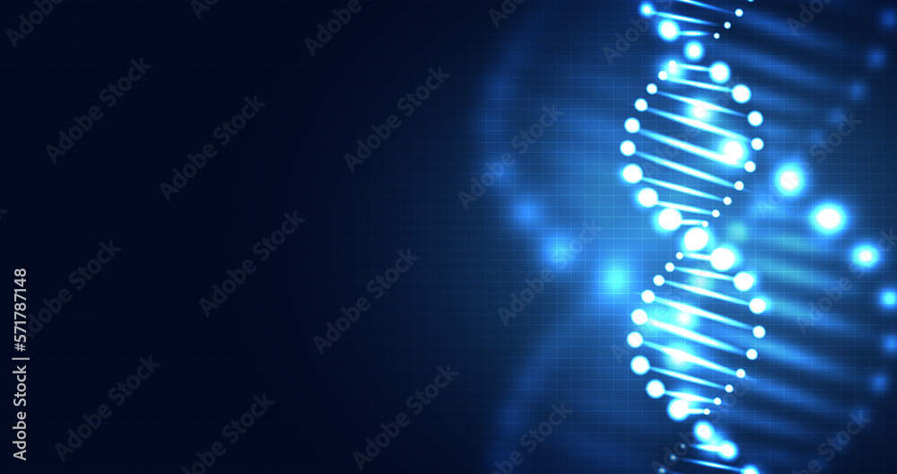 Wall mural healthcare and medical science technology with wireframe dna. analysis of chromosomal dna genetic. c