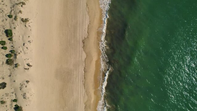 Top down aerial view above contrasting golden sandy beach and emerald green ocean coastline
