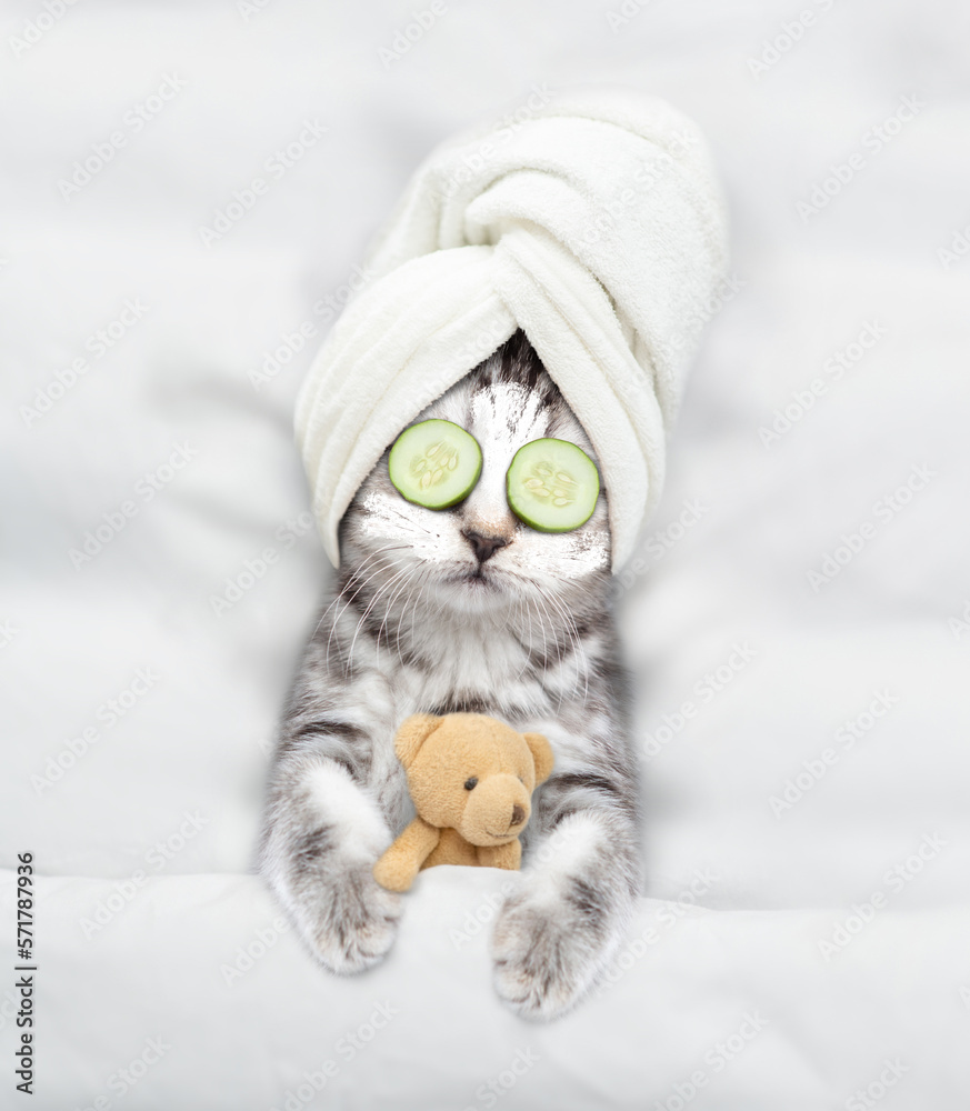 Aufkleber cute kitten with towel on his head and with cream on his face and with a pieces of cucumber on his e