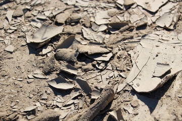 dry cracked soil