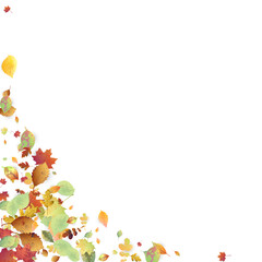 Leaves Falling Autumn Foliage Chaotic Leaf Flying