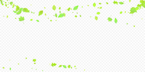 Leaves Falling Spring Flying Foliage Green Leaf