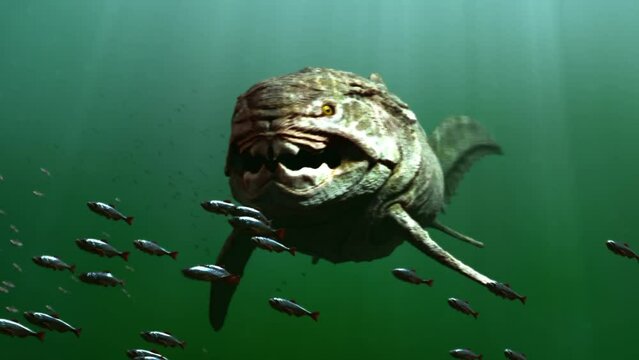 3D render animation of prehistorian dinosaur fish underwater, swimming along together with smaller fish.