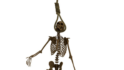 skeleton hanging on gallows rope on transparent background.