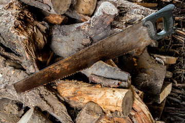 Old hand saw. Sawing wood. Rusty hacksaw on wood.
