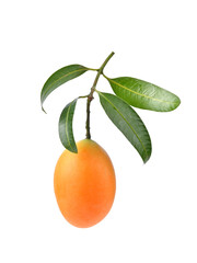 ripe Sweet Yellow Marian plum with leaves on white background. - obrazy, fototapety, plakaty