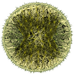 Round mat, rug, carpet, serviette, doormat, napkin with abstract ray like pattern in green, yellow, black, white colors and grunge rough fringe isolated on white