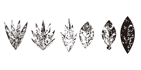 Vector illustration of various leaf shapes