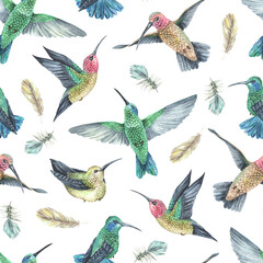 Watercolor illustration.Seamless pattern hummingbird and feathers.Exotic tropical colorful birds.Isolated on a white background.For the design of fabric, wallpaper, interior decorations in boho style © Ekaterina