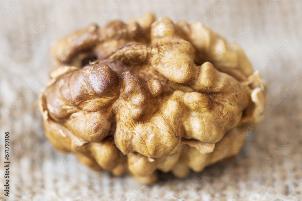 Poster walnut kernel close-up natural. horizontal frame
