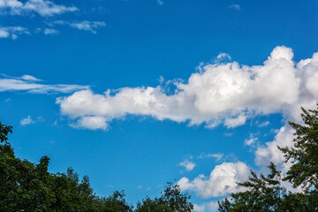 White clouds on blue sky over green foliage of trees