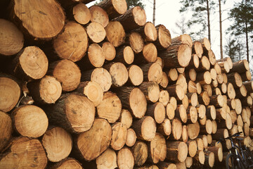 Heap firewood close-up. Pile of fresh fire wood prepared for winter