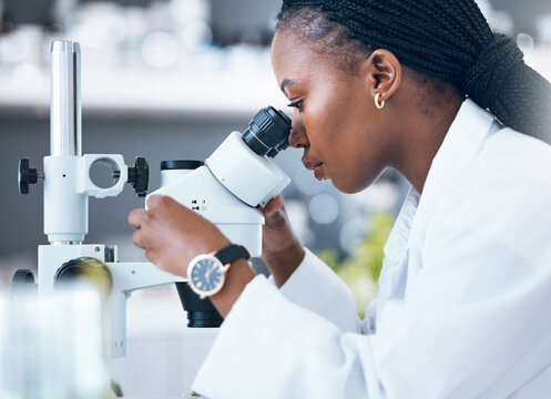 Microscope, black woman and medical science in laboratory for research, analytics and medicine. Woman, doctor and scientist study at work for an investigation, healthcare and futuristic or innovation