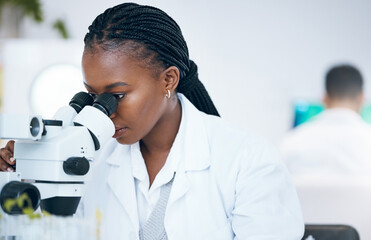 Medical science, black woman and microscope in laboratory for research, analytics and medicine....