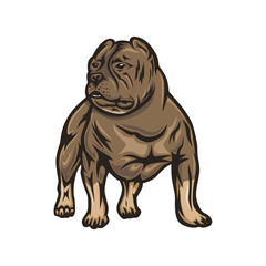 American Bully Muscle Vector Illustration