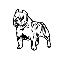 American Bully Black White Vector illustration