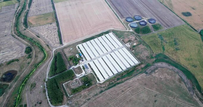 Flying Over Industrial American Pork Farm