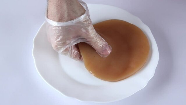 Scoby, Hand holding tea mushroom for kombucha tea, Healthy fermented food. The fermentation process. Mushroom on a white plate. Probiotic nutrition for well balanced digestive system and metabolism.