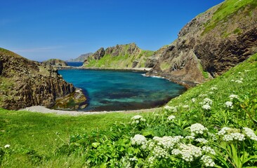 礼文島ハイキング　岬めぐり