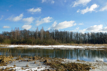 Nice winter day in February. Blue sky and forest on the bank of the river. Snow and rejection