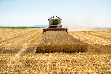 Combine harvester in action on wheat field. Harvesting is the process of gathering a ripe crop from...