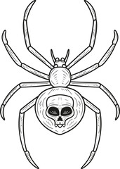 Hand drawn spider with skull. Vector illustration in a linear style. Tattoo sketch.
