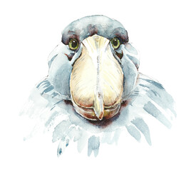 Shoebill. Pattern with bird. Watercolor hand drawn illustration - 571817958
