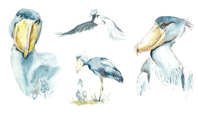 Shoebill. Pattern with bird. Watercolor hand drawn illustration