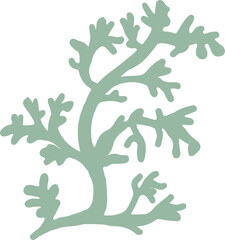 Lichen or moss isolated PNG element. Forest woodland fungus. Cute hand drawn biology and botanical illustration isolated on transparent background. Organic nature plant